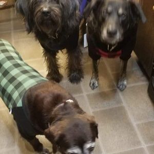 Meet your Posher, Doug